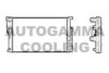 AUTOGAMMA 107407 Radiator, engine cooling